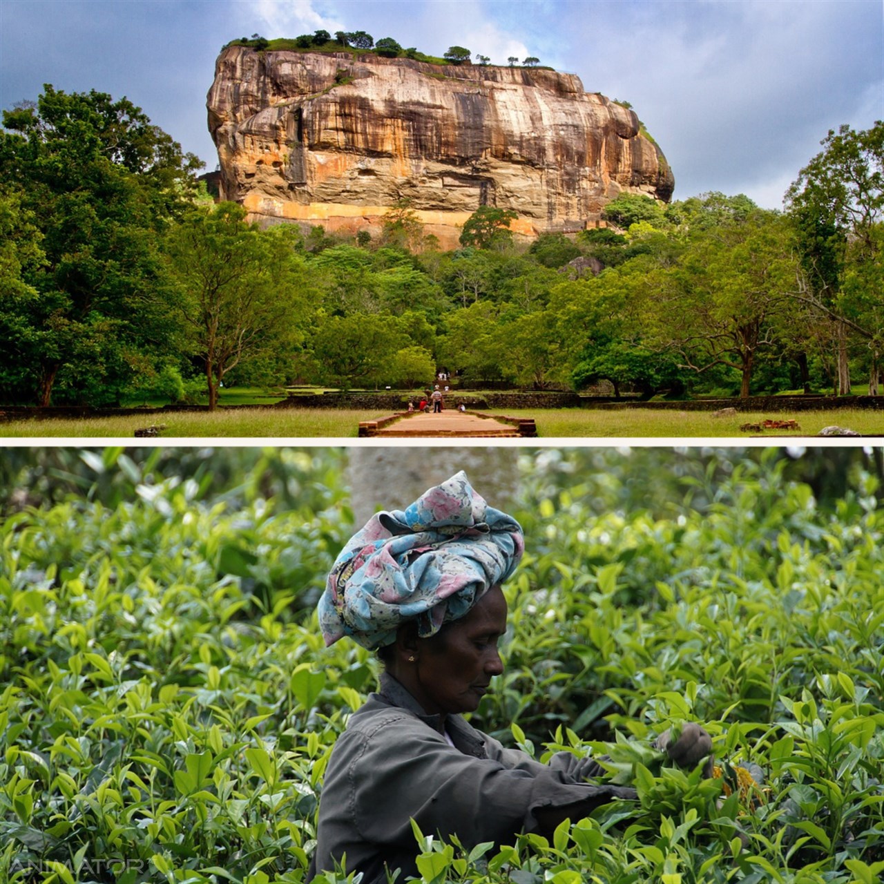 Sri Lanka - W Krainie Cejlońskiej Magii 